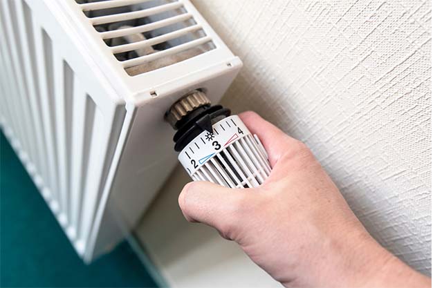 Petek Temizliği